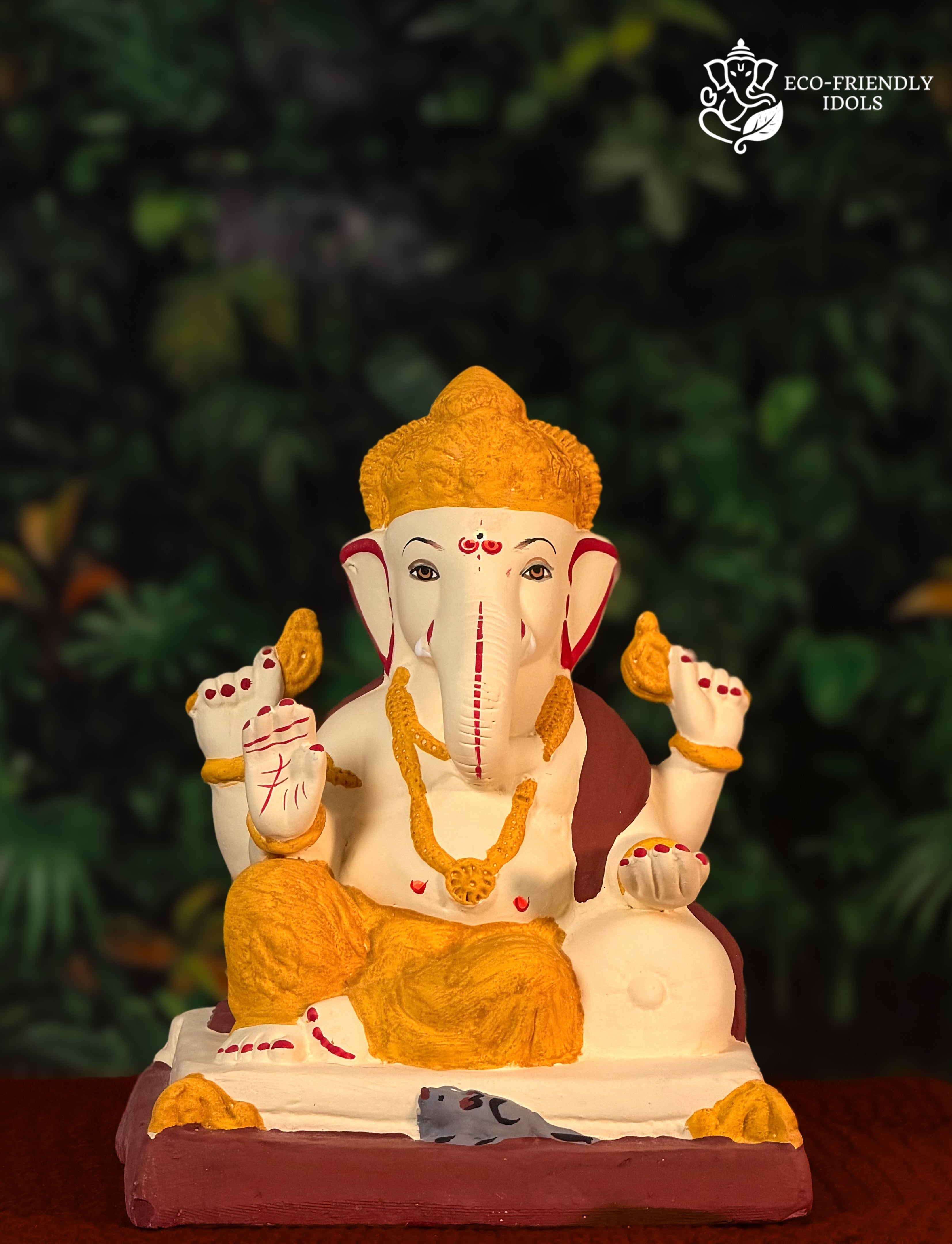 Peshwai Haldi  (10 Inches)