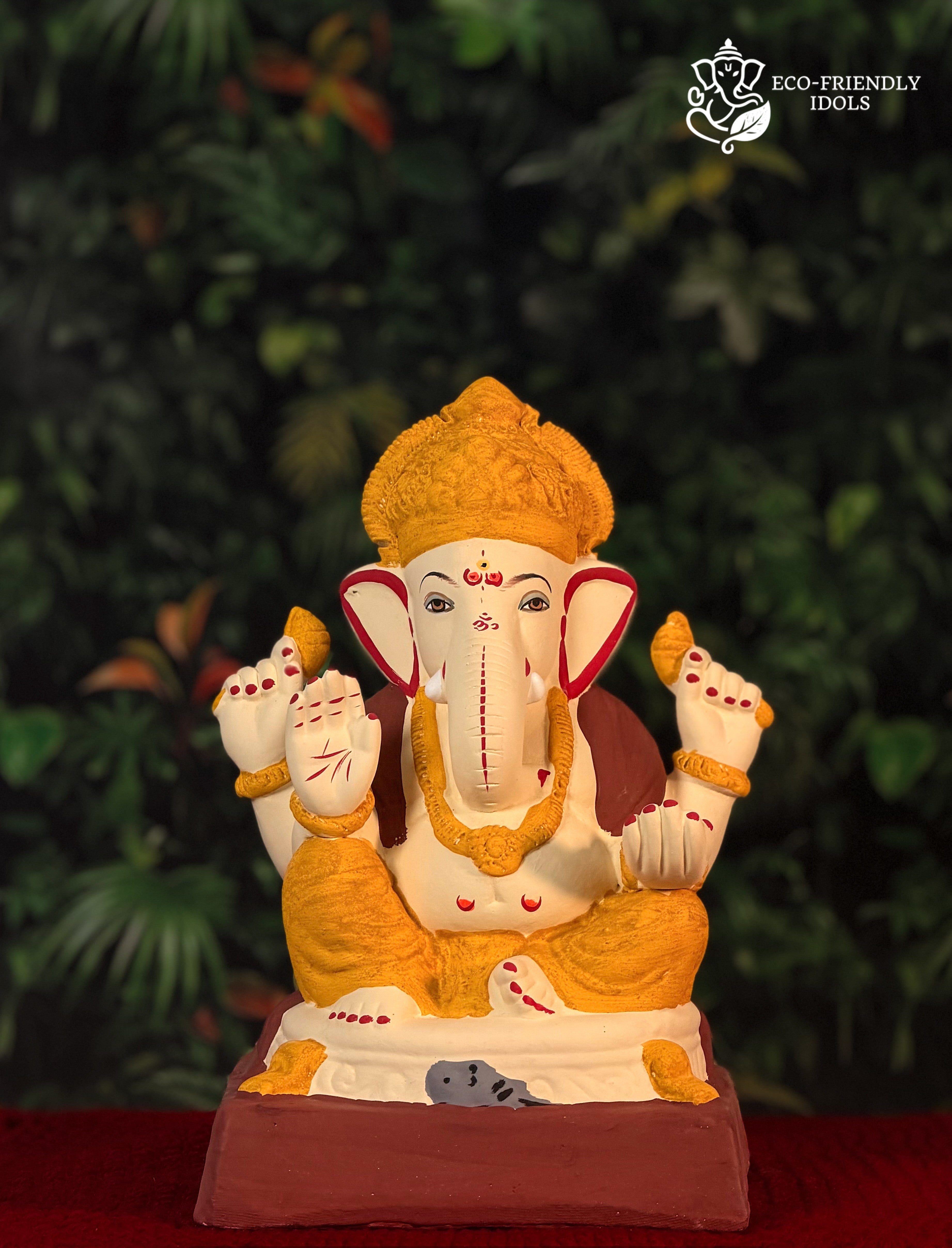 Mysori Mandi Haldi (12 Inches)