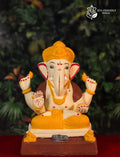 Padmasan Haldi (12 Inches)