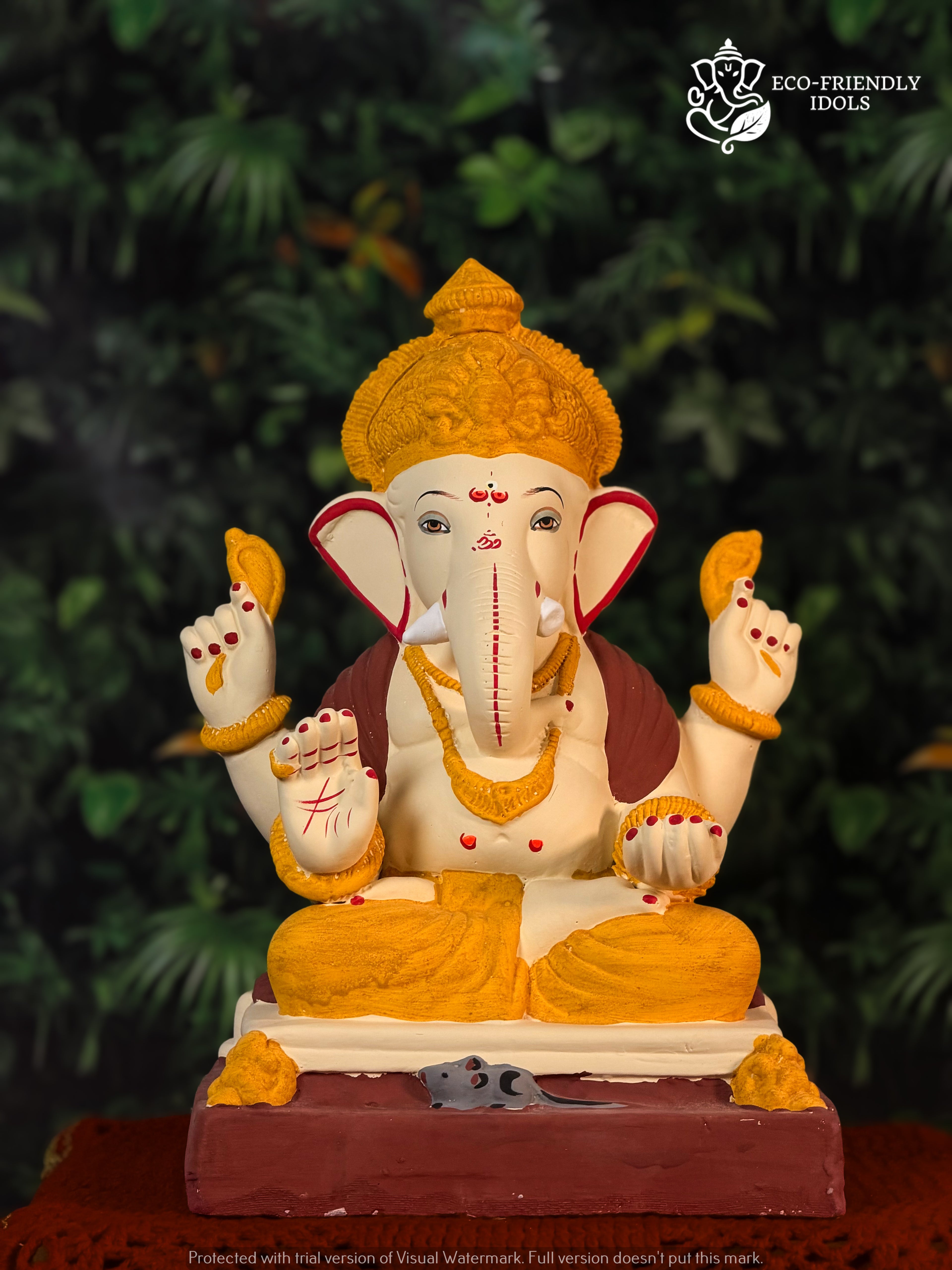 Padmasan Haldi (16 Inches)